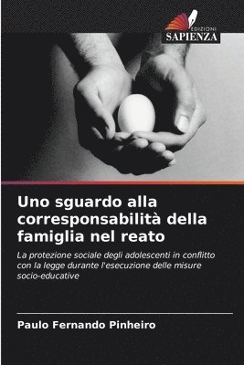 bokomslag Uno sguardo alla corresponsabilità della famiglia nel reato