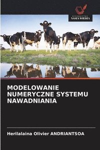 bokomslag Modelowanie Numeryczne Systemu Nawadniania