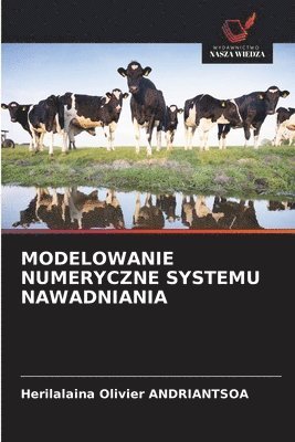 bokomslag Modelowanie Numeryczne Systemu Nawadniania