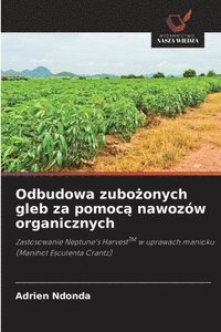 bokomslag Odbudowa zubo?onych gleb za pomoc? nawozów organicznych