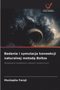 bokomslag Badanie i symulacja konwekcji naturalnej metod¿ Boltza