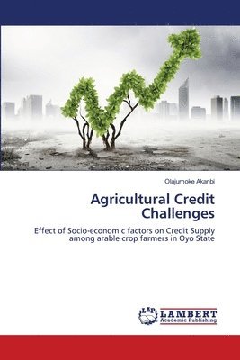 bokomslag Agricultural Credit Challenges