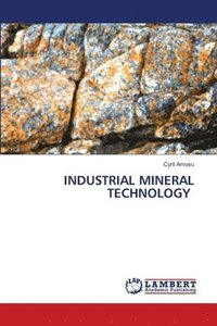 bokomslag Industrial Mineral Technology