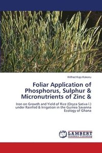 bokomslag Foliar Application of Phosphorus, Sulphur & Micronutrients of Zinc &