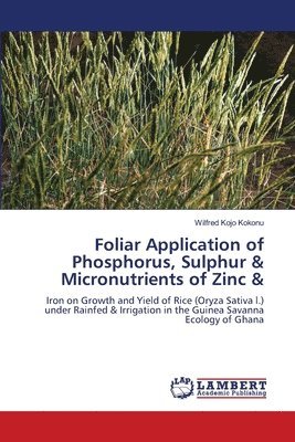 bokomslag Foliar Application of Phosphorus, Sulphur & Micronutrients of Zinc &