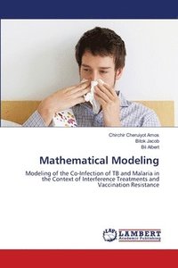 bokomslag Mathematical Modeling