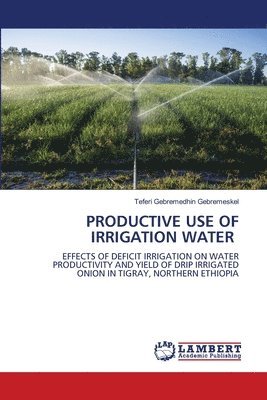 bokomslag Productive Use of Irrigation Water