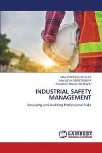 bokomslag Industrial Safety Management