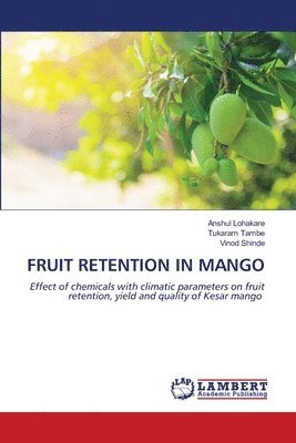 bokomslag Fruit Retention in Mango