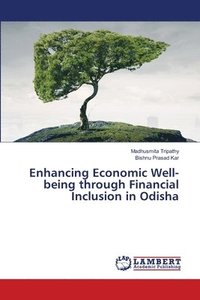 bokomslag Enhancing Economic Well-being through Financial Inclusion in Odisha