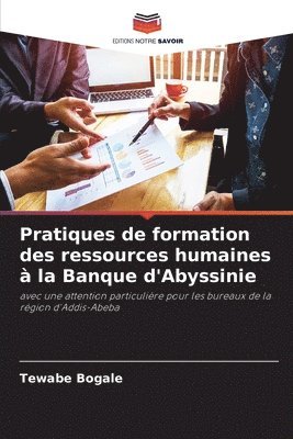bokomslag Pratiques de formation des ressources humaines à la Banque d'Abyssinie