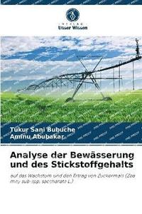 bokomslag Analyse der Bewsserung und des Stickstoffgehalts