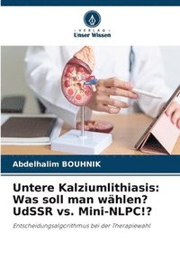 bokomslag Untere Kalziumlithiasis