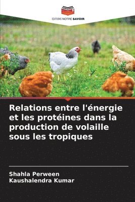 bokomslag Relations entre l'nergie et les protines dans la production de volaille sous les tropiques