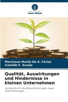 bokomslag Qualität, Auswirkungen und Hindernisse in kleinen Unternehmen