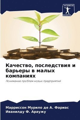Качество, последствия и барьеры в малых ко&#10