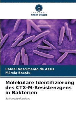 Rafael Nascimento de Assis, Márcia Brazão - Molekulare Identifizierung des CTX-M-Resistenzgens in Bakterien, Häftad