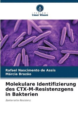 Molekulare Identifizierung des CTX-M-Resistenzgens in Bakterien 1