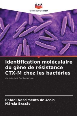 bokomslag Identification molculaire du gne de rsistance CTX-M chez les bactries