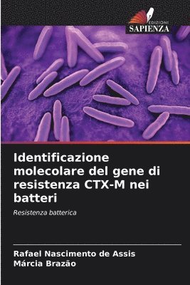 bokomslag Identificazione molecolare del gene di resistenza CTX-M nei batteri