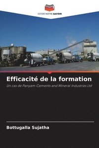 bokomslag Efficacité de la formation