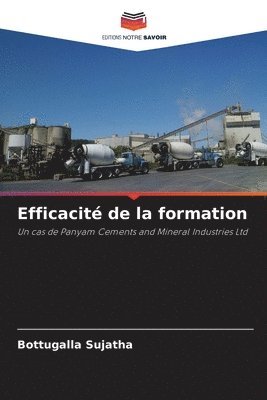 bokomslag Efficacité de la formation