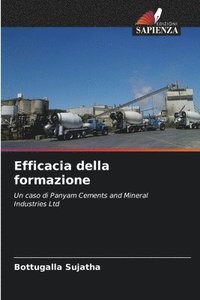 bokomslag Efficacia della formazione