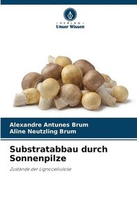 bokomslag Substratabbau durch Sonnenpilze