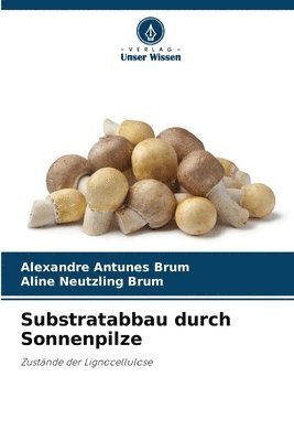 Substratabbau durch Sonnenpilze 1