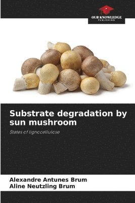 bokomslag Substrate degradation by sun mushroom