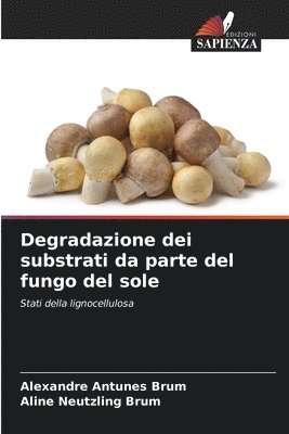 bokomslag Degradazione dei substrati da parte del fungo del sole