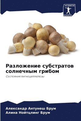 Разложение субстратов солнечным грибом