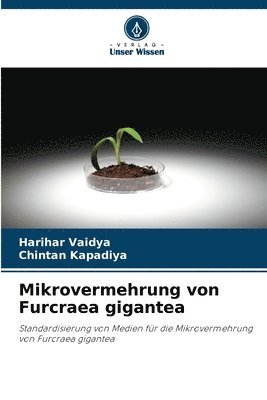 bokomslag Mikrovermehrung von Furcraea gigantea