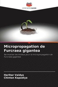 bokomslag Micropropagation de Furcraea gigantea