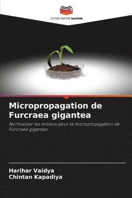 bokomslag Micropropagation de Furcraea gigantea