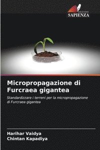 bokomslag Micropropagazione di Furcraea gigantea