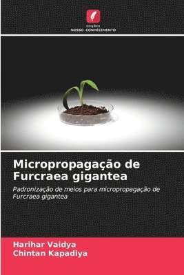 bokomslag Micropropagao de Furcraea gigantea