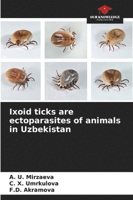 bokomslag Ixoid ticks are ectoparasites of animals in Uzbekistan