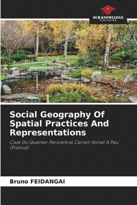 bokomslag Social Geography Of Spatial Practices And Representations