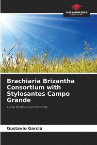 bokomslag Brachiaria Brizantha Consortium with Stylosantes Campo Grande