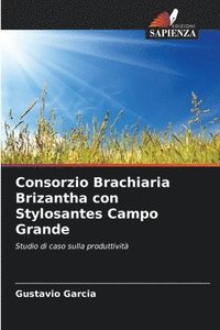 bokomslag Consorzio Brachiaria Brizantha con Stylosantes Campo Grande