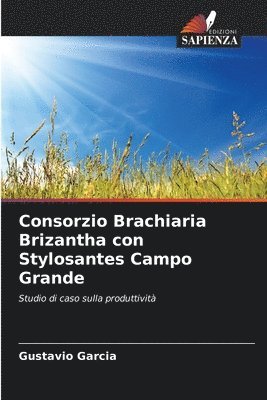 Consorzio Brachiaria Brizantha con Stylosantes Campo Grande 1