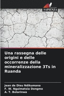 bokomslag Una rassegna delle origini e delle occorrenze della mineralizzazione 3Ts in Ruanda