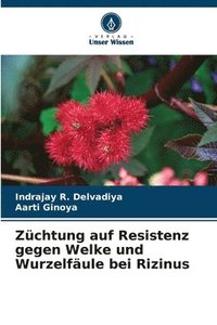 bokomslag Zchtung auf Resistenz gegen Welke und Wurzelfule bei Rizinus