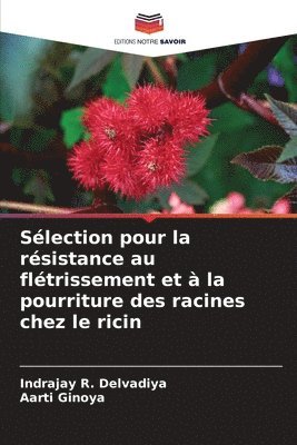 bokomslag Slection pour la rsistance au fltrissement et  la pourriture des racines chez le ricin