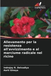 bokomslag Allevamento per la resistenza all'avvizzimento e al marciume radicale nel ricino