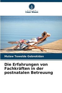 bokomslag Die Erfahrungen von Fachkrften in der postnatalen Betreuung