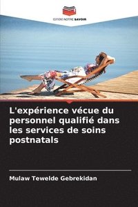 bokomslag L'exprience vcue du personnel qualifi dans les services de soins postnatals