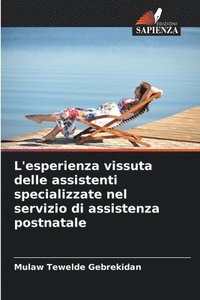 bokomslag L'esperienza vissuta delle assistenti specializzate nel servizio di assistenza postnatale