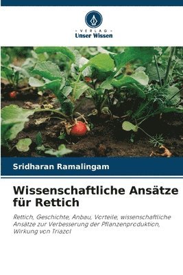 bokomslag Wissenschaftliche Ansätze für Rettich